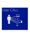 Microsoft Windows Server CAL 2016 German 1pk DSP OEI 5 Clt User CAL - nr 14