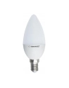 Esperanza ELL145 LED BULB-E14/5W/lm470/3000h/CRI 80/37x100mm/kąt świecenia270 - nr 1