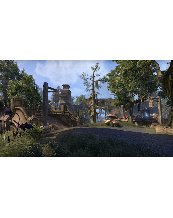 Cenega Polska Gra The Elder Scrolls Online: Morrowind (PS4) główny