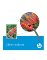 Hewlett-Packard Tusz HP 2-Pack 302 | 1 x 3,5ml + 1 x 4ml | black + tri-color - nr 17