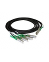 Intel SFP28 Twinaxial Cable 2M - nr 3