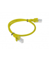 Lanberg Patchcord RJ45 kat. 6 UTP 0.5m żółty - nr 14