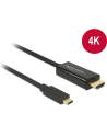 Kabel adapter Delock USB type-C(M) -> HDMI(M) 4K 30Hz 1m - nr 11