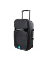 System Audio Blaupunkt PA15 BT|MP3|RADIO|USB|SD|KARAOKE|MIKROFON|PILOT|AUX|700W - nr 12