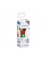 Whitenergy Żarówka LED | 10xSMD2835| C37| E27 | 5W | 230V |ciepłe biała| mleczne - nr 10