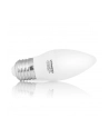 Whitenergy Żarówka LED | 10xSMD2835| C37| E27 | 5W | 230V |ciepłe biała| mleczne - nr 8