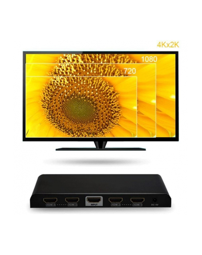 Rozdzielacz - Splitter Techly AV HDMI 2.0 1/4 Ultra HD 4Kx2K 3D główny