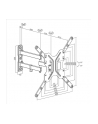 LogiLink Uchwyt ścienny LCD/LED VESA, 23-55', max. 30kg - nr 12