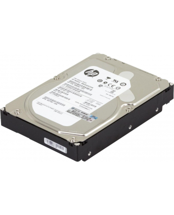 HEWLETT PACKARD - ESG HP HDD 2TB NSATA LFF MDL 3.5'' 7.2k 6G G8/9 659570-001