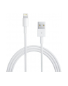 Apple Lightning - USB Cable - white - 0.5m - ME291ZM/A - nr 12