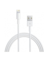 Apple Lightning - USB Cable - white - 0.5m - ME291ZM/A - nr 14