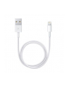 Apple Lightning - USB Cable - white - 0.5m - ME291ZM/A - nr 16