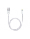 Apple Lightning - USB Cable - white - 0.5m - ME291ZM/A - nr 2