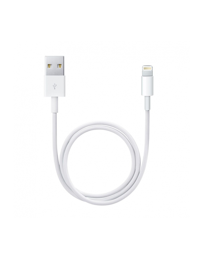 Apple Lightning - USB Cable - white - 0.5m - ME291ZM/A główny