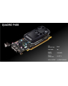 PNY NVIDIA Quadro P400 - 2GB - 3x miniDP - nr 6