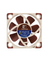 Noctua NF-A4x10 5V - 40mm - nr 3