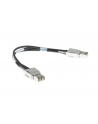 Cisco Systems Cisco Stackwise-480 0,5m Stacking Cable - nr 12