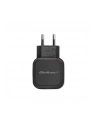 Qoltec Ładowarka sieciowa do Smartfona/ Tabletu | 17W | 5V | 3.4A | 2xUSB - nr 8