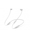 Apple BeatsX Earphones - Matte Silver - nr 9