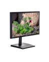 Samsung 24inch LS24E65UDWG/EN, PLS 1920x1200 WUXGA 4ms - nr 13