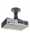 NewStar Uchwyt Sufitowy do Projektora BEAMER-C50 - nr 57