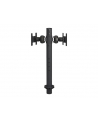 NewStar Uchwyt Nabiurkowy do Monitora FPMA-D050DBLACK - nr 8