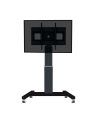 NewStar Stojak Mobilny, Wózek do LED/LCD - VESA 200x200 up to 800x600 - nr 24