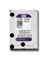 Dysk HDD Western Digital Purple WD10PURZ ( HDD 1TB ; 3.5  ; SATA III ; 64 MB ; 5400 obr/min ) - nr 33