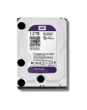 Dysk HDD Western Digital Purple WD10PURZ ( HDD 1TB ; 3.5  ; SATA III ; 64 MB ; 5400 obr/min ) - nr 55