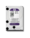 Dysk HDD Western Digital Purple WD10PURZ ( HDD 1TB ; 3.5  ; SATA III ; 64 MB ; 5400 obr/min ) - nr 21