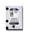 Dysk HDD Western Digital Purple WD10PURZ ( HDD 1TB ; 3.5  ; SATA III ; 64 MB ; 5400 obr/min ) - nr 48