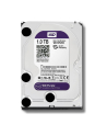 Dysk HDD Western Digital Purple WD10PURZ ( HDD 1TB ; 3.5  ; SATA III ; 64 MB ; 5400 obr/min ) - nr 27