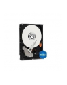 Dysk HDD Western Digital Blue WD5000AZRZ ( HDD 500GB ; 3.5  ; SATA III ; 64 MB ; 5400 obr/min ) - nr 3
