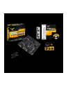 Asus TUF B350M-PLUS GAMING AM4 B350 AMD B350, AMD AM4, 4x DIMM DDR4, 1x PCIe 3.0/2.0 x16, 1x PCIe 2.0 x16, 1x PCIe 2.0 x1, 4x SATA III, M.2, PS/2, RJ-45, DVI-D, VGA, HDMI, USB 2.0/3.1, mATX, 244x244 mm - nr 10