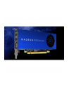 AMD RADEON PRO WX 2100 2GB GDDR5 PCI-E 3.0 16X 2XMDP DP RETAIL    IN - nr 14