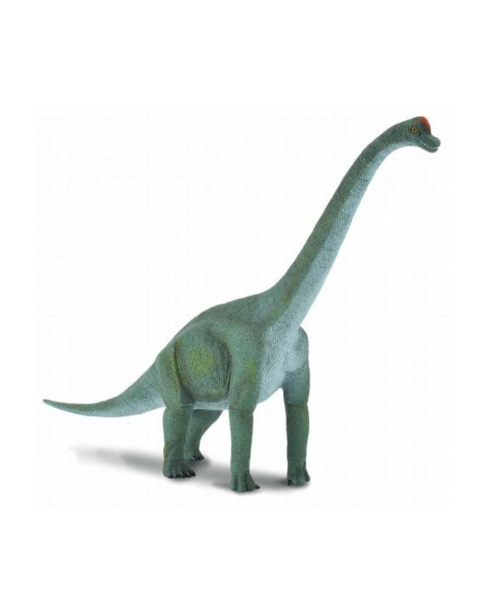 Dinozaur Brachiozaur. COLLECTA główny