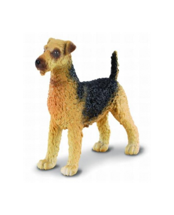 Pies Airedale Terier. COLLECTA