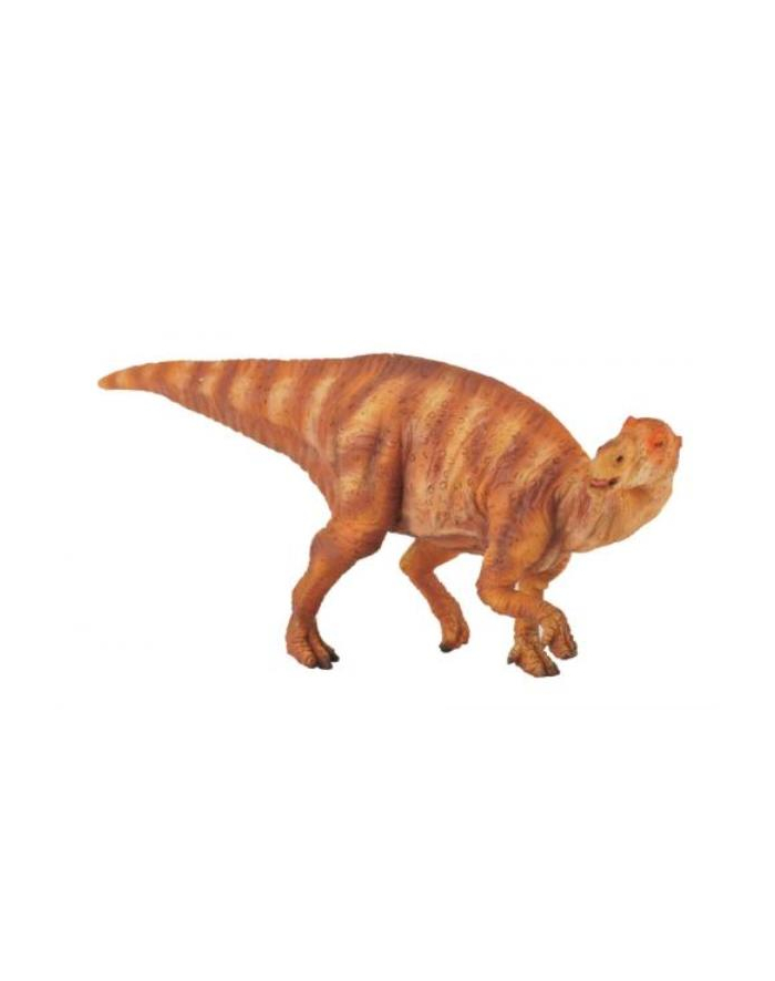 Dinozaur Muttaburrazaur. COLLECTA główny