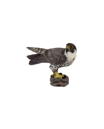 Sokół. COLLECTA nr 2