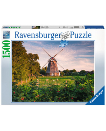 Puzzle 1500el Żaglówki RAVENSBURGER