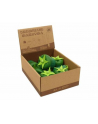 Papryka drewno 1566157  p.8  BRIMAREX - nr 1