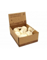 Cebula drewno 22577G p.8  BRIMAREX - nr 1