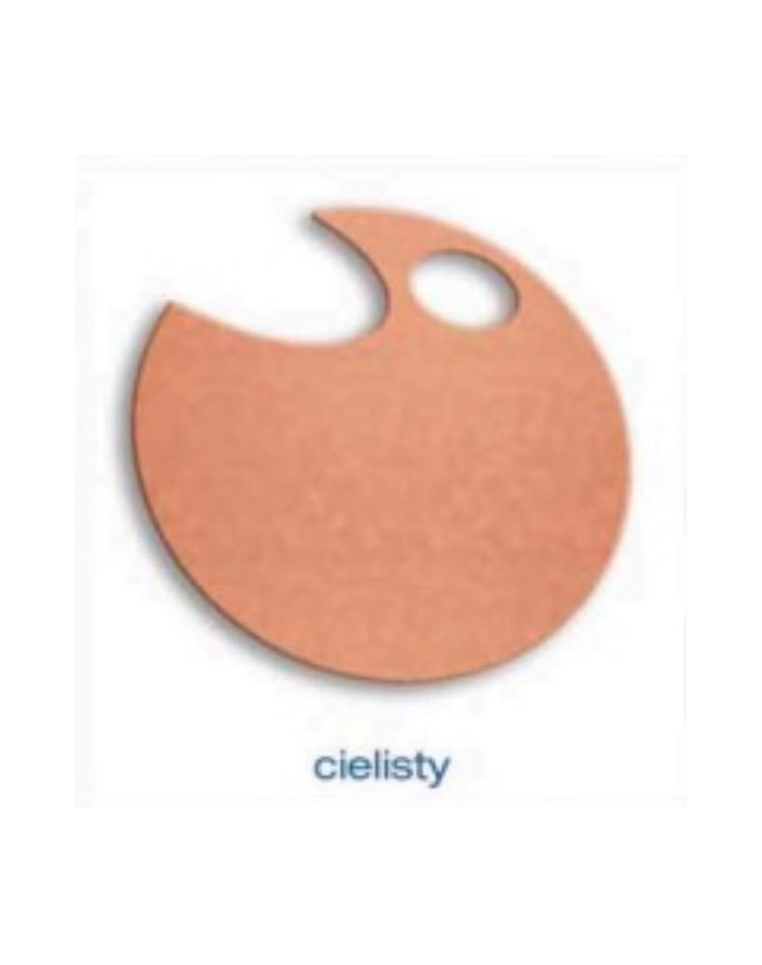 Wstążka filcowa 4cm x 2m cielista główny