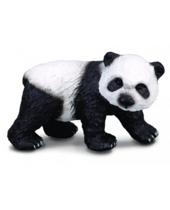 Panda wielka stojąca. COLLECTA