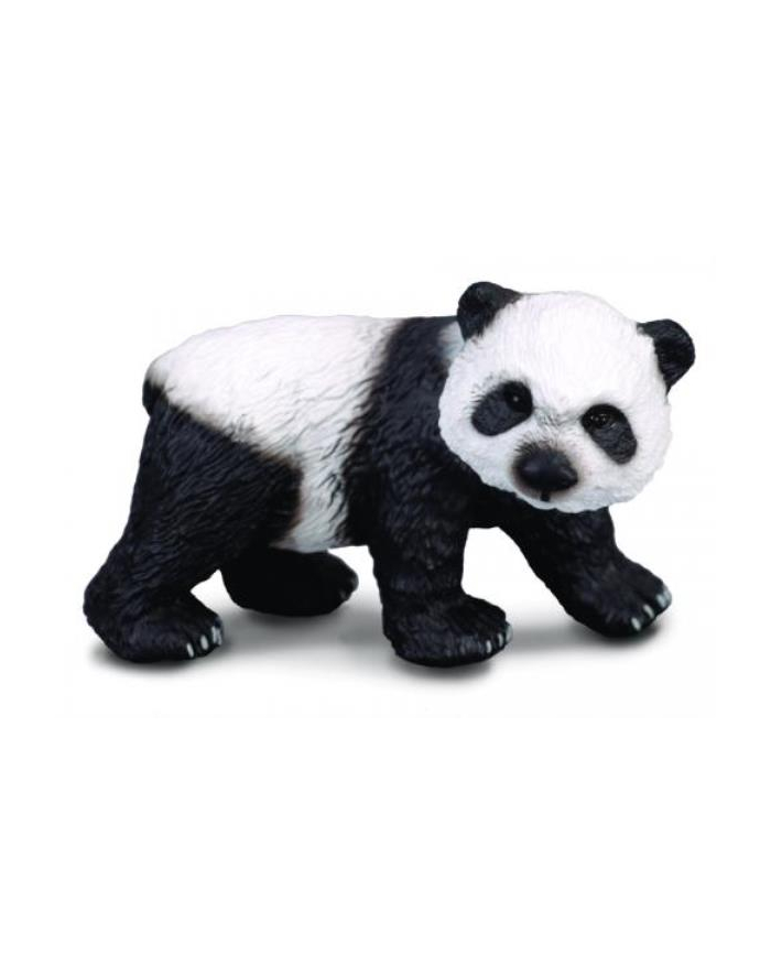 Panda wielka stojąca. COLLECTA główny