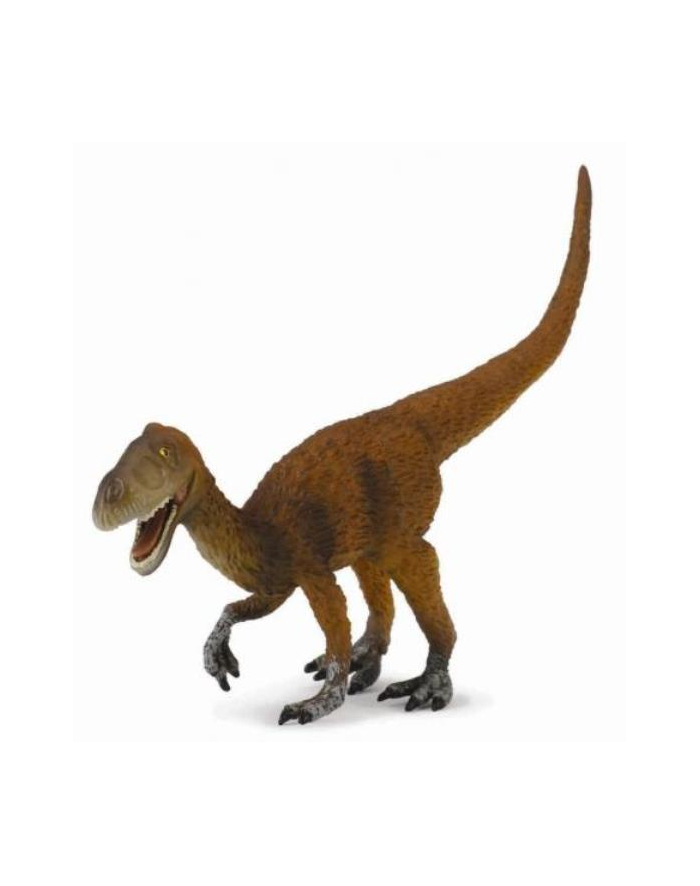 Dinozaur Eotyran. COLLECTA główny