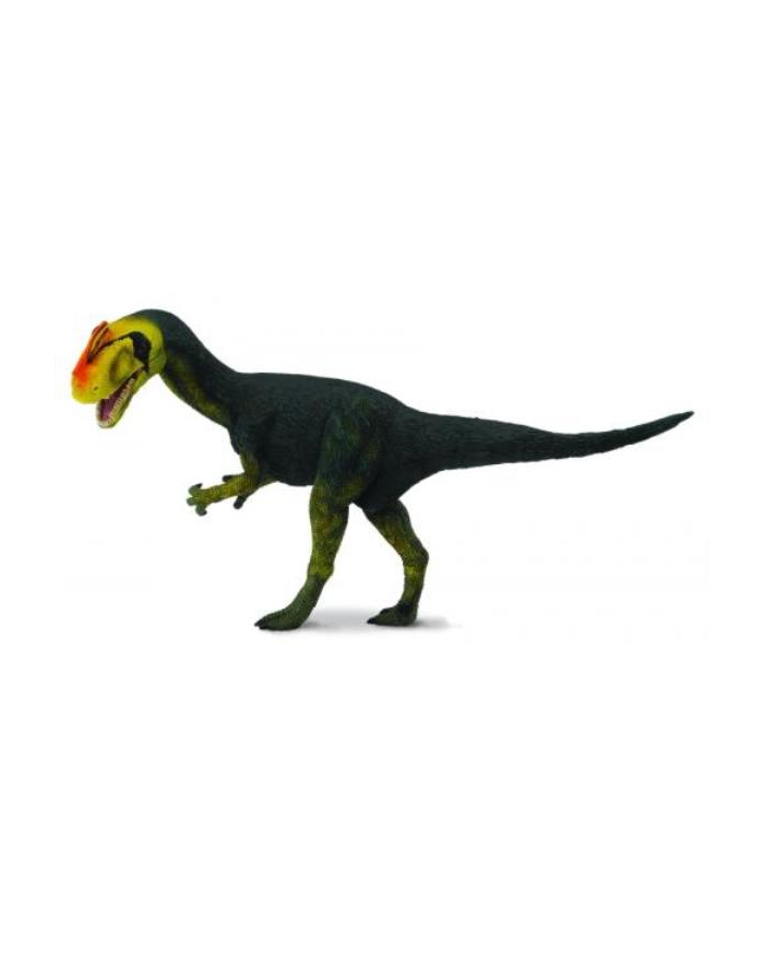 Dinozaur Proceratozaur. COLLECTA główny