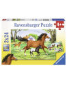 Puzzle 2x24el Świat koni 088829 RAVENSBURGER - nr 1