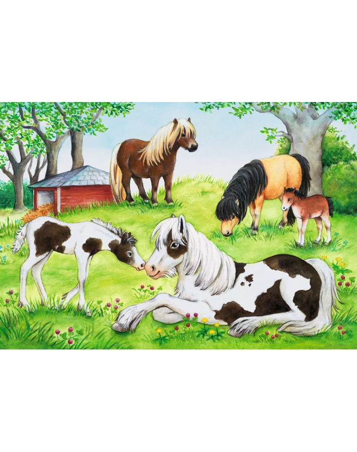 Puzzle 2x24el Świat koni 088829 RAVENSBURGER główny