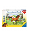 Puzzle 2x24el Świat koni 088829 RAVENSBURGER - nr 6